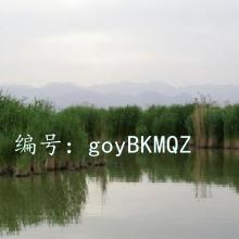 ļ